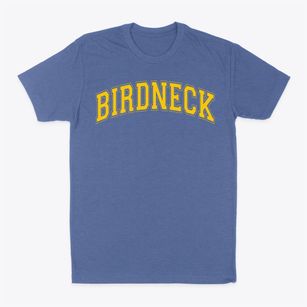 Birdneck Elementary School Varsity Arch Classic Dad T-Shirt