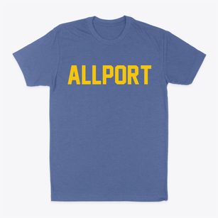 Allport Arkansas Classic Block Classic Dad T-Shirt