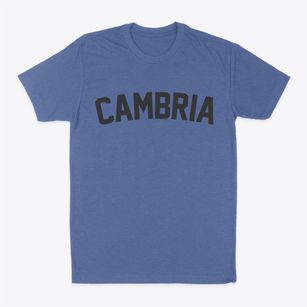 Cambria Wisconsin Classic Curve Classic Dad T-Shirt