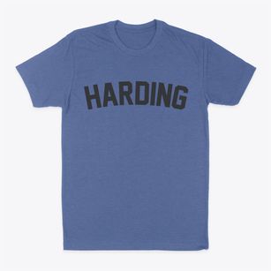 Harding Wisconsin Classic Curve Classic Dad T-Shirt