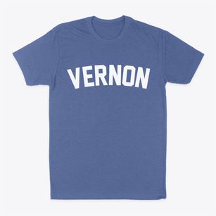 Vernon Illinois Classic Curve Classic Dad T-Shirt
