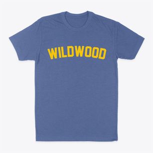 Wildwood Missouri Classic Curve Classic Dad T-Shirt