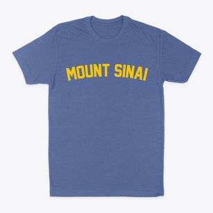 Mount Sinai New York Classic Curve Classic Dad T-Shirt