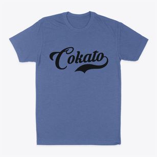 Cokato Minnesota Vintage Team Classic Dad T-Shirt