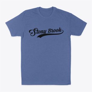 Stony Brook New York Vintage Team Classic Dad T-Shirt