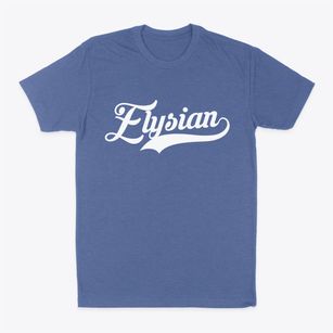 Elysian Minnesota Vintage Team Classic Dad T-Shirt