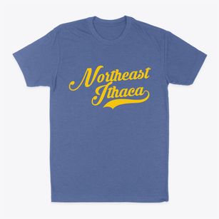 Northeast Ithaca New York Vintage Team Classic Dad T-Shirt