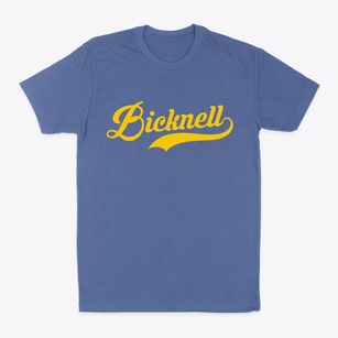 Bicknell Indiana Vintage Team Classic Dad T-Shirt