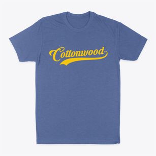 Cottonwood Arizona Vintage Team Classic Dad T-Shirt