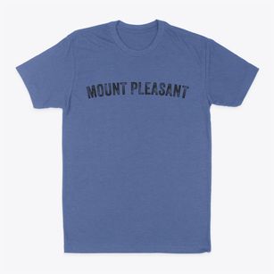 Mount Pleasant South Carolina Timeless Retro Classic Dad T-Shirt