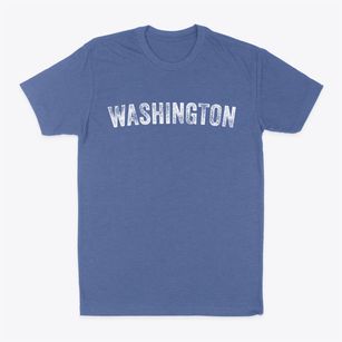 Washington Georgia Timeless Retro Classic Dad T-Shirt