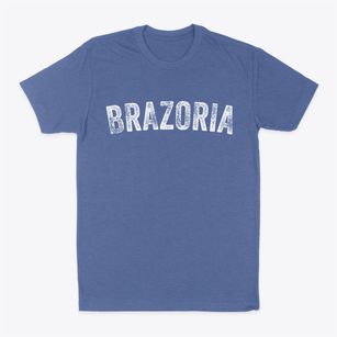 Brazoria Texas Timeless Retro Classic Dad T-Shirt