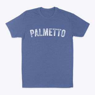 Palmetto Louisiana Timeless Retro Classic Dad T-Shirt