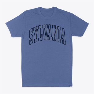 Sylvania Pennsylvania Trendy Block Classic Dad T-Shirt