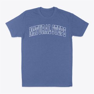 Natural Steps Arkansas Trendy Block Classic Dad T-Shirt