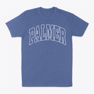 Palmer Illinois Trendy Block Classic Dad T-Shirt