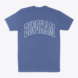 Bingham Illinois Trendy Block Classic Dad T-Shirt