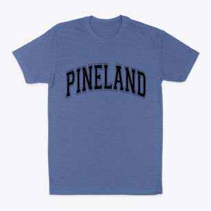 Pineland Florida Varsity Classic Dad T-Shirt