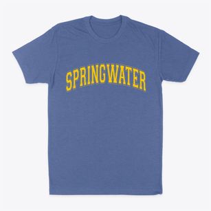 Springwater New York Varsity Classic Dad T-Shirt