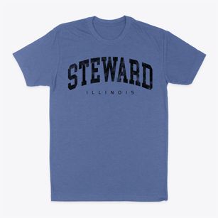 Steward Illinois Urban Vibe Classic Dad T-Shirt