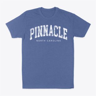 Pinnacle North Carolina Urban Vibe Classic Dad T-Shirt