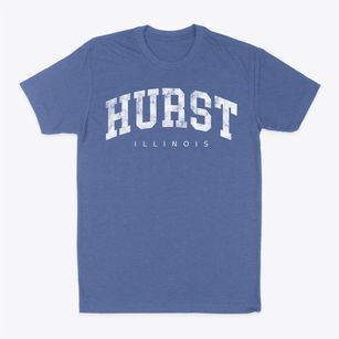 Hurst Illinois Urban Vibe Classic Dad T-Shirt