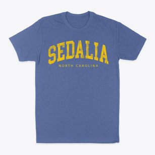 Sedalia North Carolina Urban Vibe Classic Dad T-Shirt