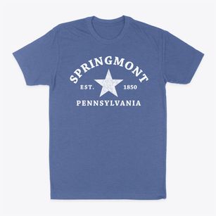 Springmont Pennsylvania Star Classic Dad T-Shirt