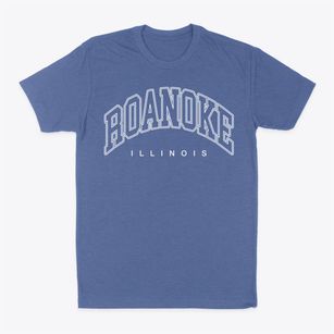 Roanoke Illinois Inline Classic Dad T-Shirt