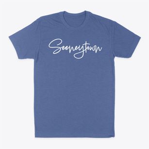 Seeneytown Delaware Freestyle Classic Dad T-Shirt