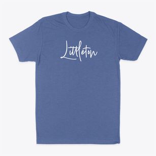 Littleton Illinois Freestyle Classic Dad T-Shirt