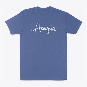Acequia Idaho Freestyle Classic Dad T-Shirt