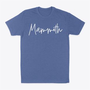 Mammoth Missouri Freestyle Classic Dad T-Shirt