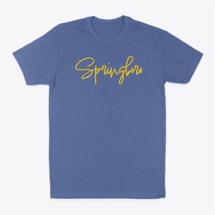 Springboro Pennsylvania Freestyle Classic Dad T-Shirt