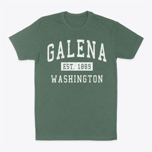 Galena Washington Classic Established Classic Dad T-Shirt