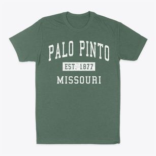 Palo Pinto Missouri Classic Established Classic Dad T-Shirt