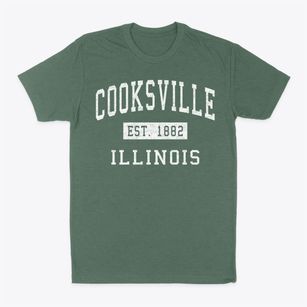 Cooksville Illinois Classic Established Classic Dad T-Shirt