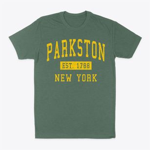 Parkston New York Classic Established Classic Dad T-Shirt
