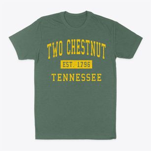 Two Chestnut Tennessee Classic Established Classic Dad T-Shirt