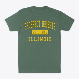 Prospect Heights Illinois Classic Established Classic Dad T-Shirt