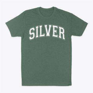 Silver Star Center Varsity Arch Classic Dad T-Shirt
