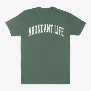 Abundant Life Christian Academy Varsity Arch Classic Dad T-Shirt
