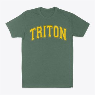 Triton Elementary School Varsity Arch Classic Dad T-Shirt