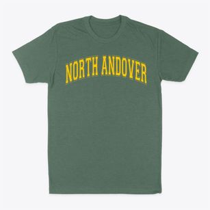 North Andover Middle School Varsity Arch Classic Dad T-Shirt