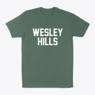 Wesley Hills New York Classic Block Classic Dad T-Shirt