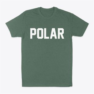 Polar Wisconsin Classic Block Classic Dad T-Shirt