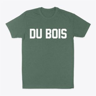 Du Bois Illinois Classic Block Classic Dad T-Shirt