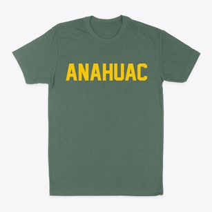 Anahuac Texas Classic Block Classic Dad T-Shirt