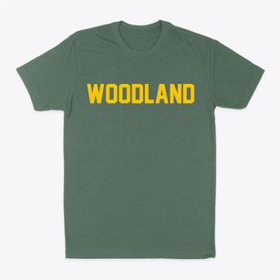 Woodland Illinois Classic Block Classic Dad T-Shirt