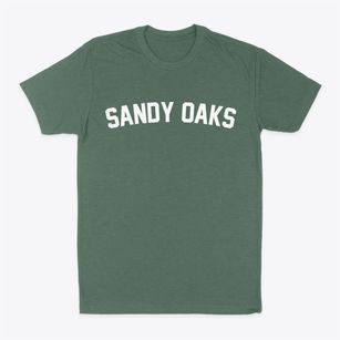 Sandy Oaks Texas Classic Curve Classic Dad T-Shirt
